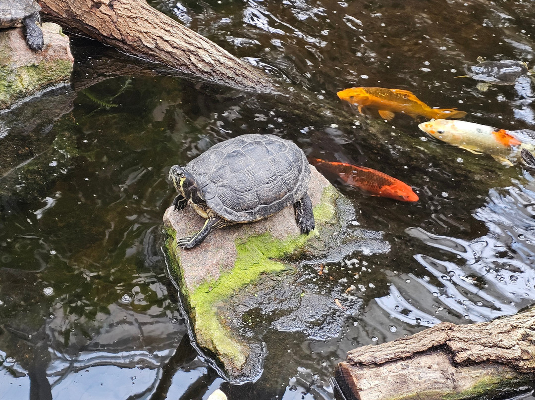 Baymont by Wyndham Sioux Falls主图