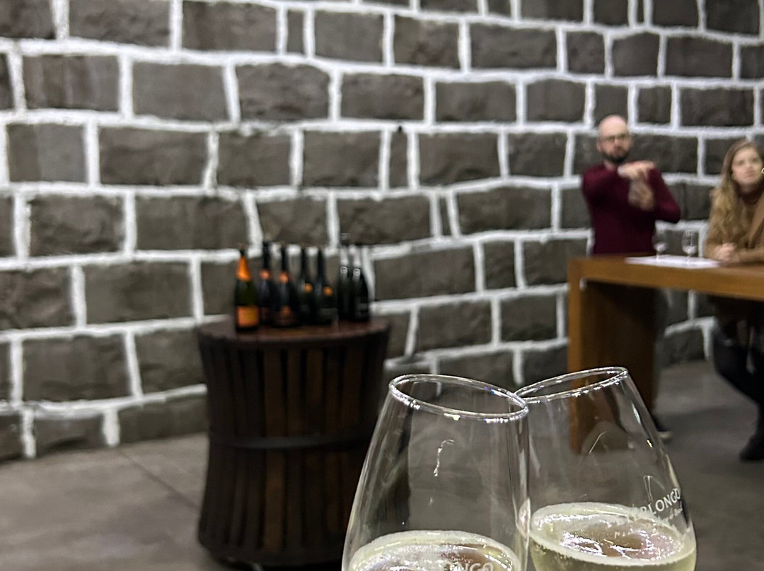 Vinicola Peterlongo景点图片