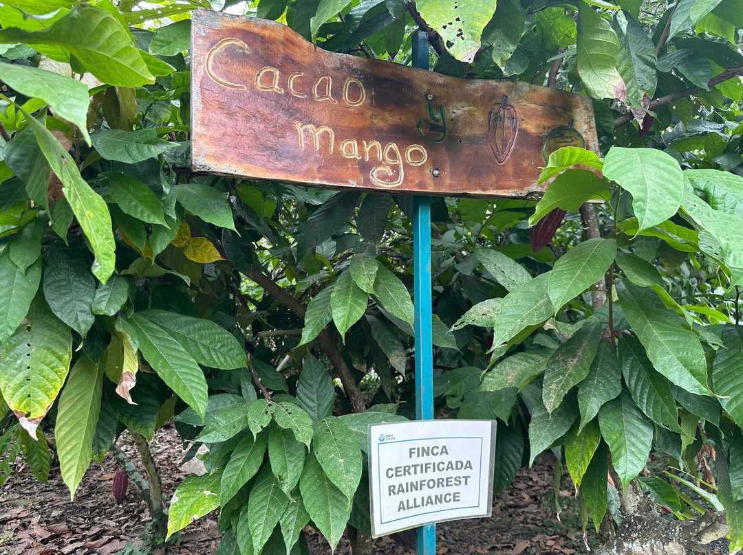 Hacienda Cacao y Mango-Naranjal必去景点