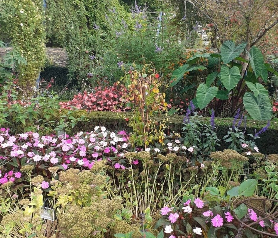 Parc de l'Arboretum-昂热必去景点