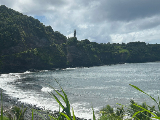 Local Maui Tours-芭雅必去景点