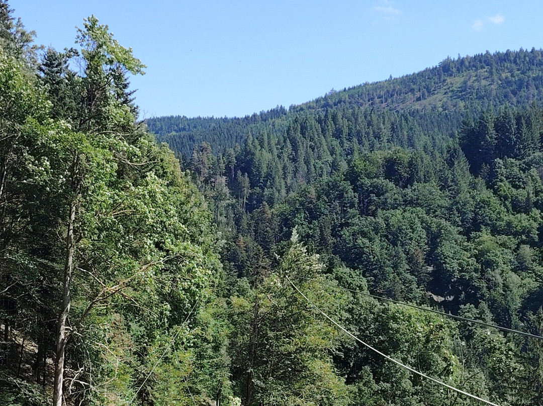 Hirschgrund - Zipline Area Schwarzwald-希尔塔赫必去景点