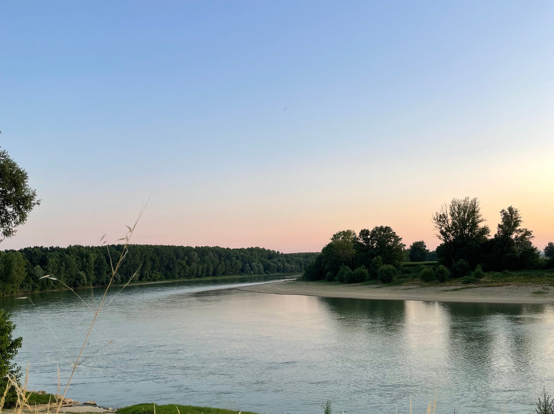 La Maison Duffour主图