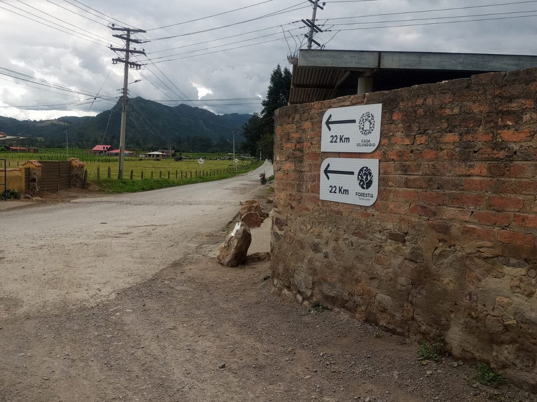 Hotel Casa Selvaggio