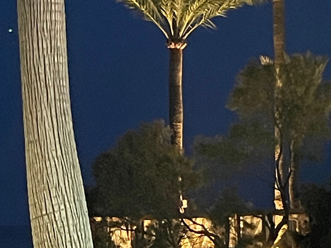 Protur Alicia Hotel主图