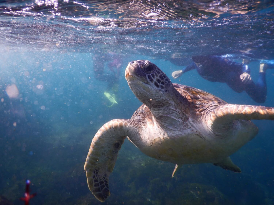 Watersports Guru-Kingscliff必去景点