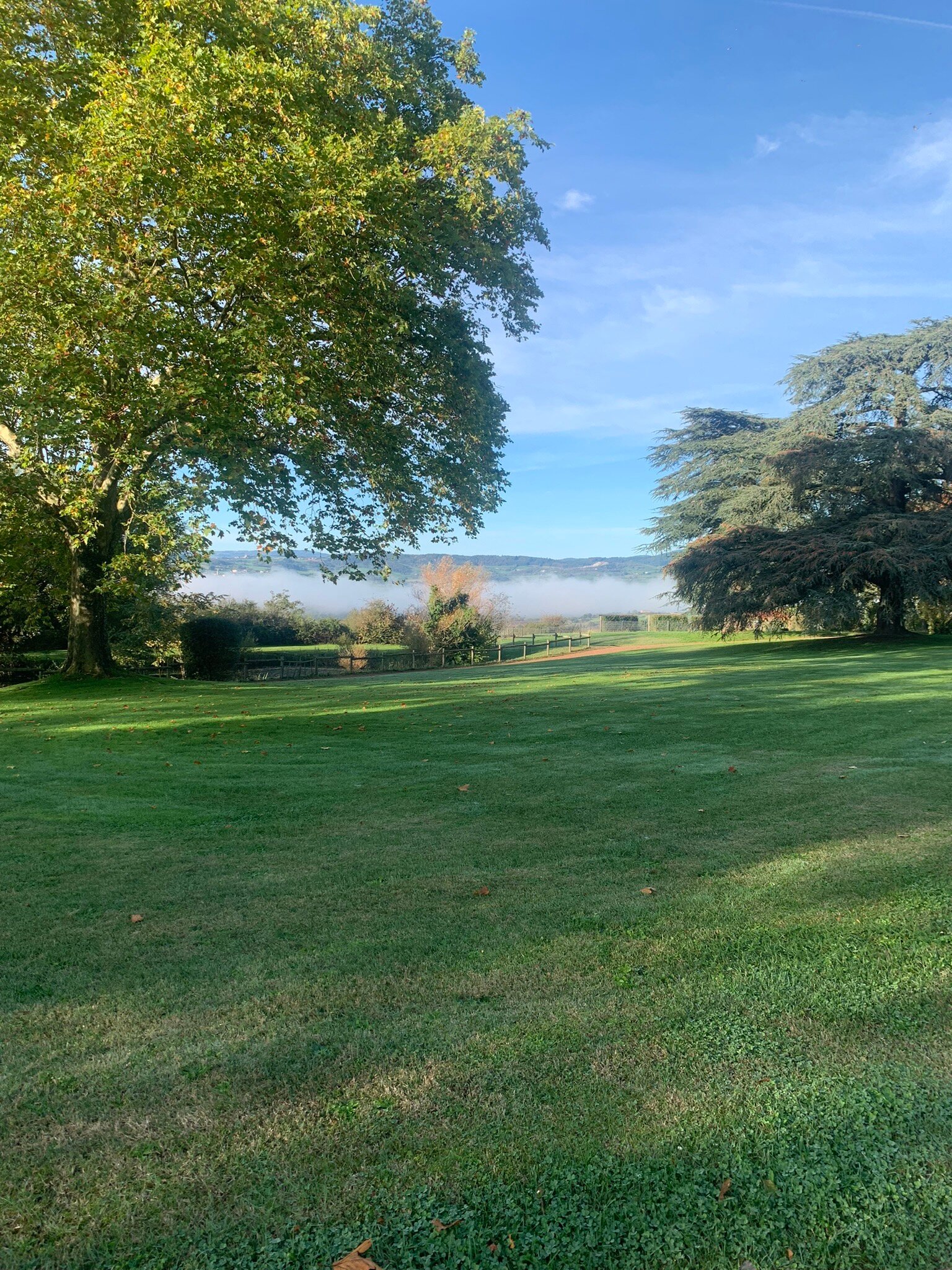 Domaine des Grands Cedres-官方