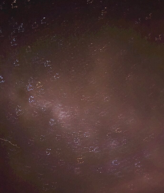 Valle del Elqui-拉塞雷纳必去景点