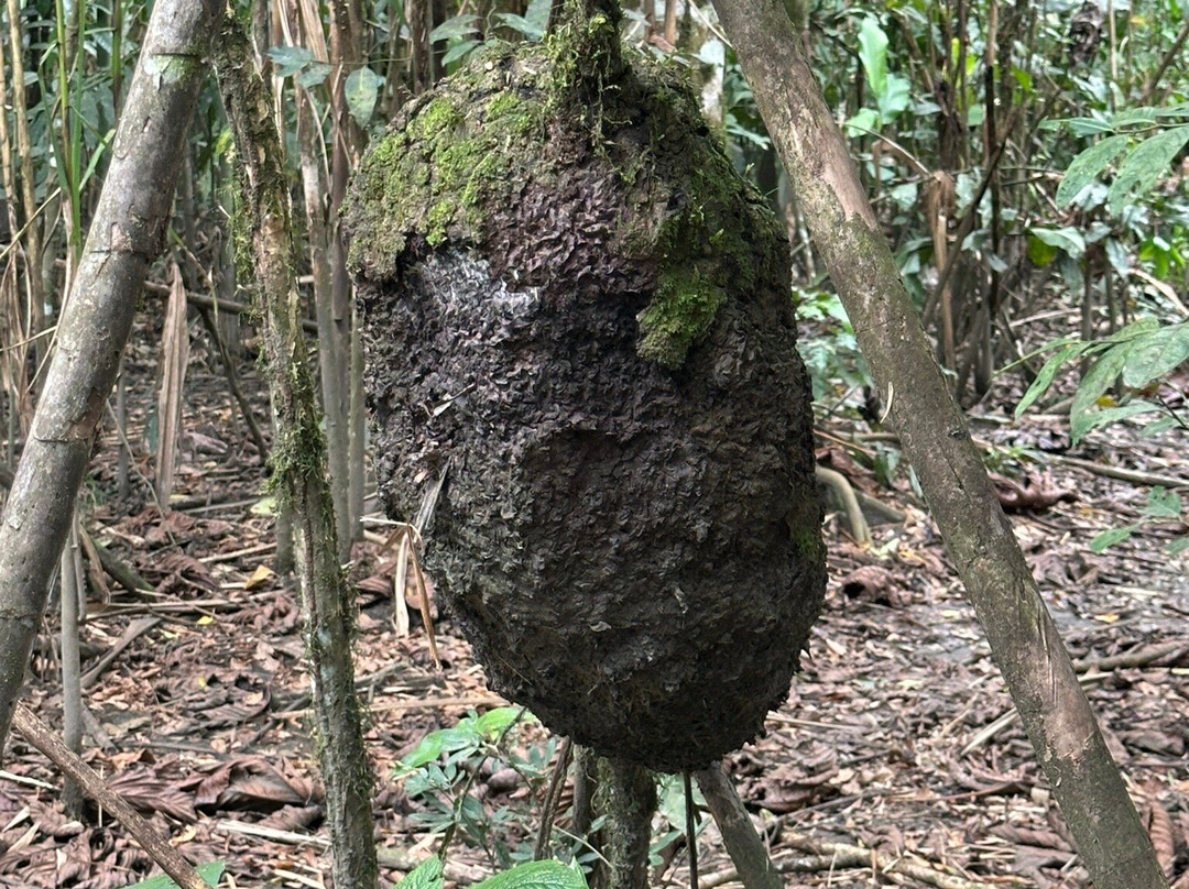 EXPEDICIONES VILCA-Manu必去景点