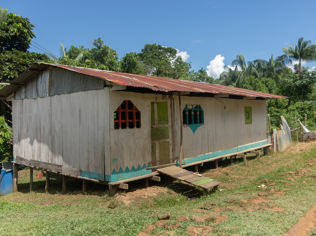 El Jardin de la Victoria Regia-莱蒂西亚必去景点