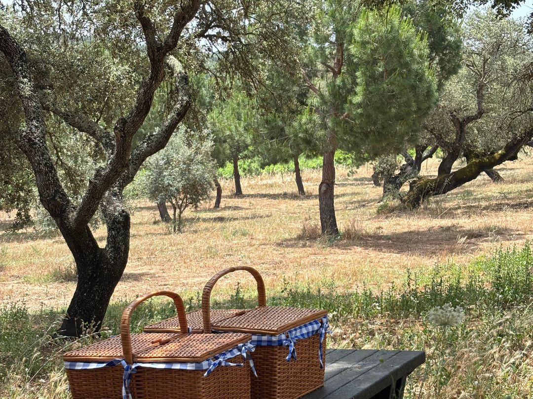 Herdade Canal Caveira-Grandola必去景点