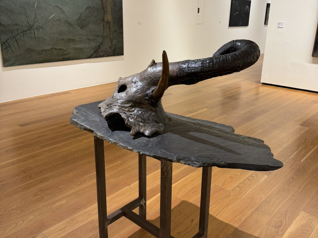 Museo de Arte Contemporanea-比戈必去景点