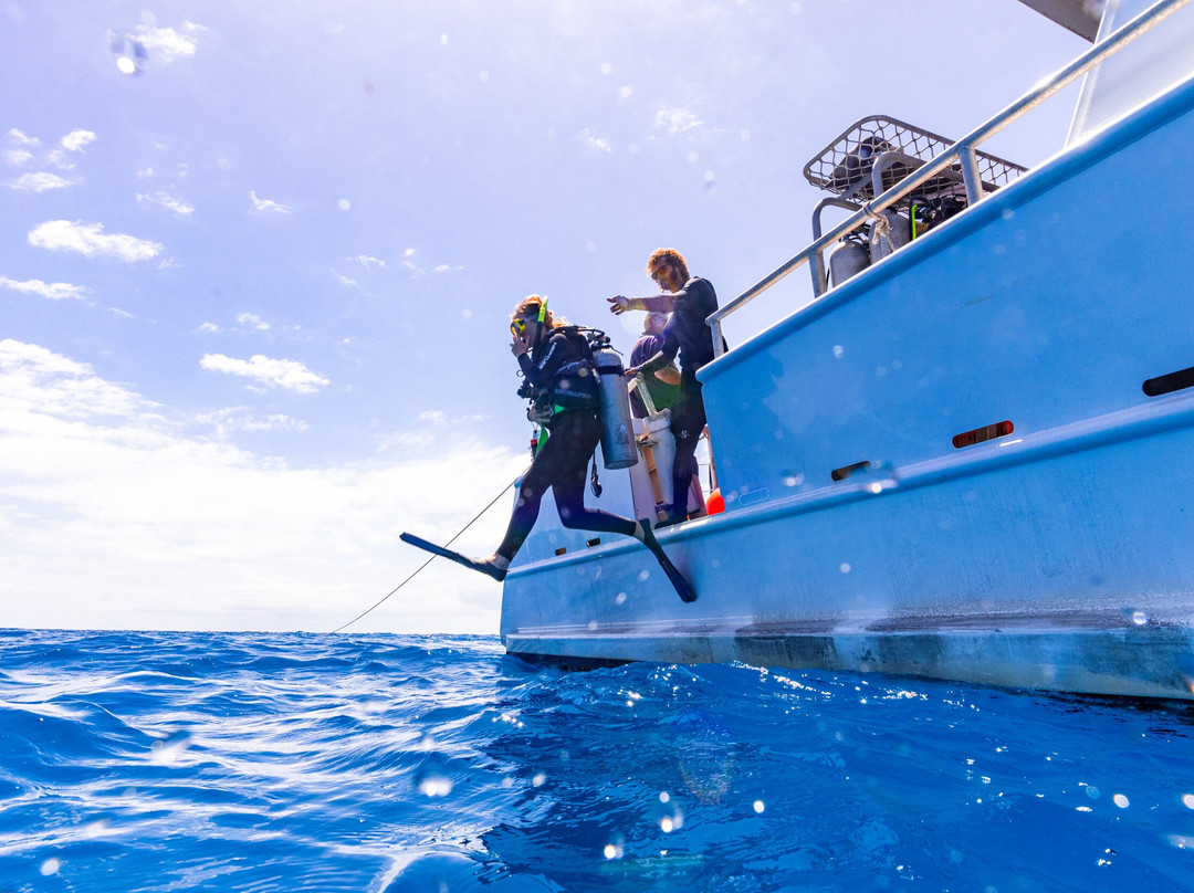 Adrenalin Snorkel and Dive-汤斯维尔必去景点