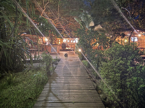 Acacia Village主图