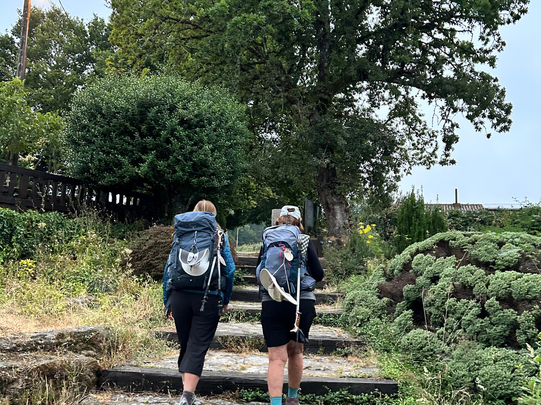 Rectoral de Lestedo主图