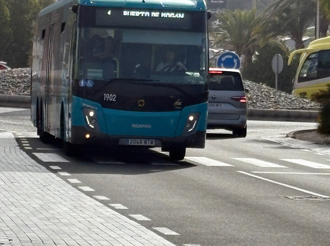 Puerto De Mogán-莫干港必去景点