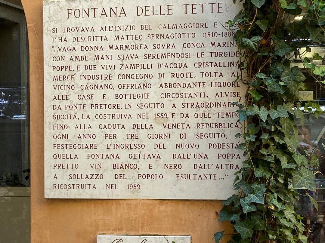 Fontana delle Tette-特雷维索必去景点