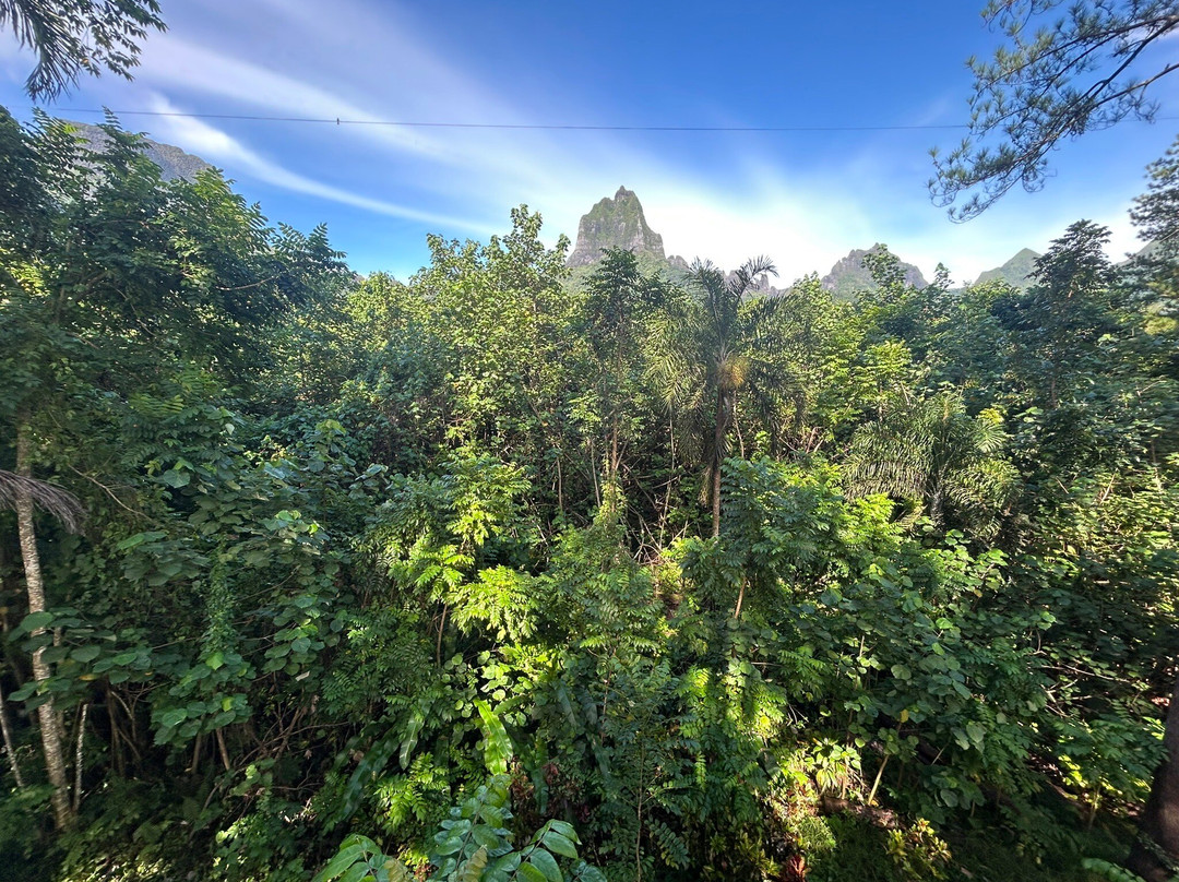 Tiki Parc Moorea-莫雷阿岛必去景点