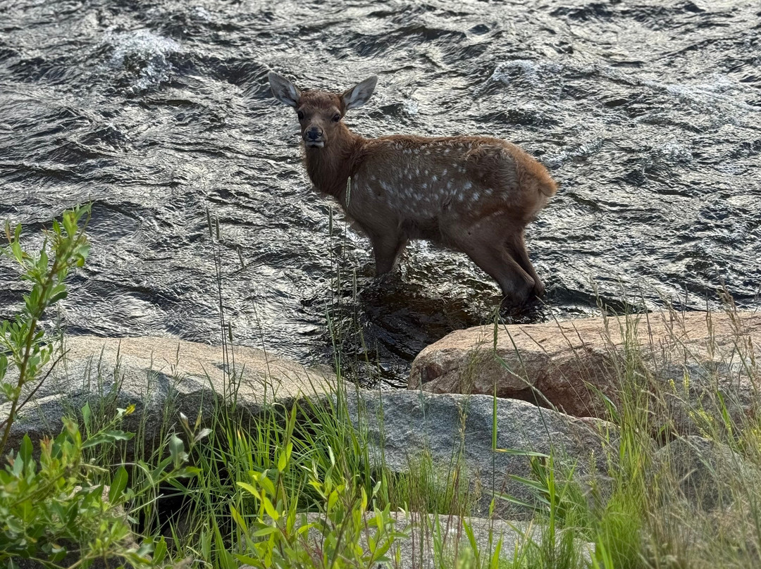 麦克斯韦尔酒店主图