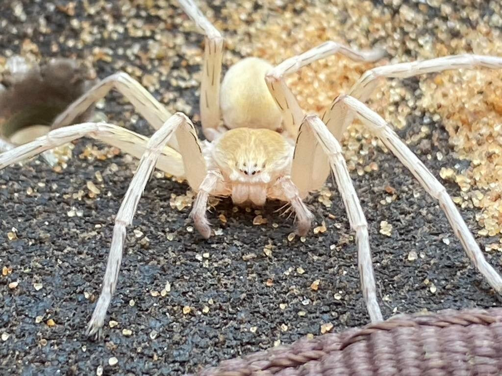 Tommy's Tours and Safaris-斯瓦科普蒙德必去景点