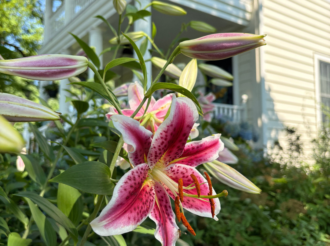 Ma Margaret's House B&B主图