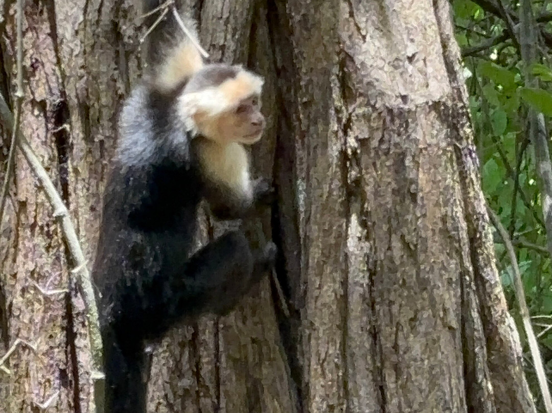 Costa Rica Wet and Wild-波特雷罗必去景点