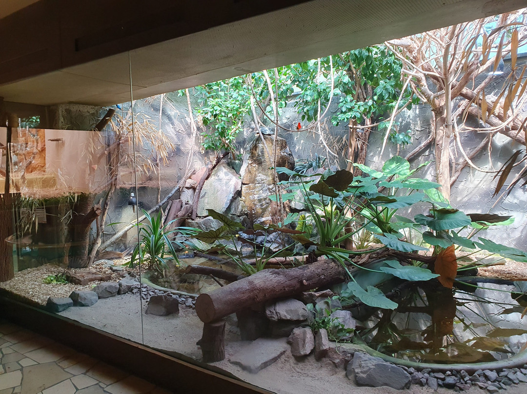 Zoo Landau-Landau in der Pfalz必去景点