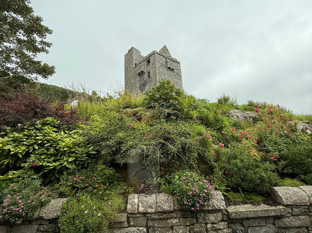 巴里诺尔拉坎城堡田园酒店主图