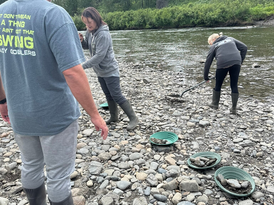 Denali Gold Tours-Trapper Creek必去景点