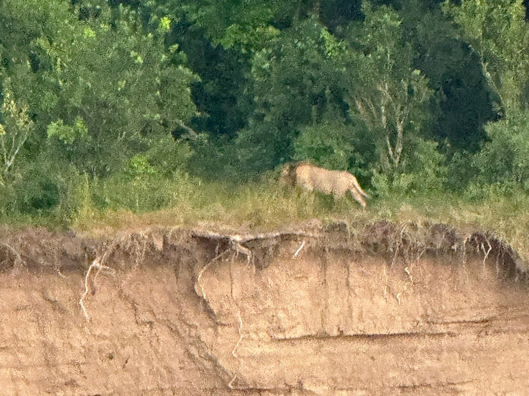 Worldwide Safaris Tanzania-阿鲁沙必去景点