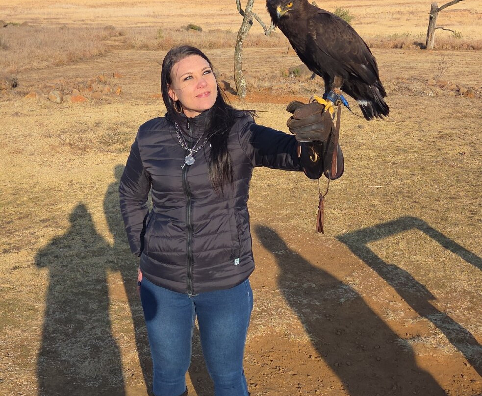 Dullstroom Bird of Prey & Rehabilitation Centre-德尔斯特鲁姆必去景点