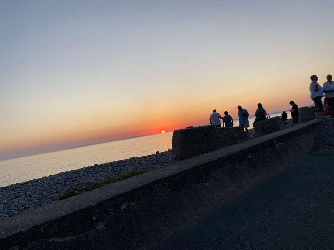 The Springfield Fairbourne