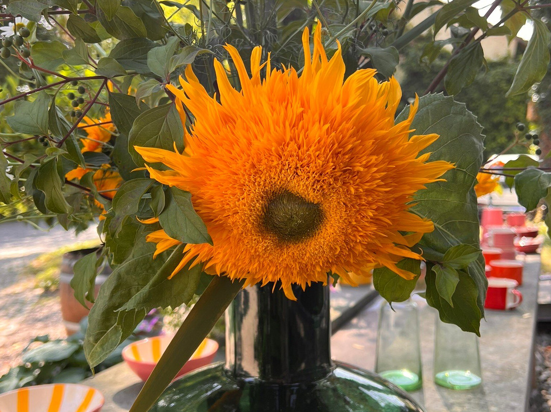 Weingut Aufricht-梅尔斯堡（博登湖）必去景点