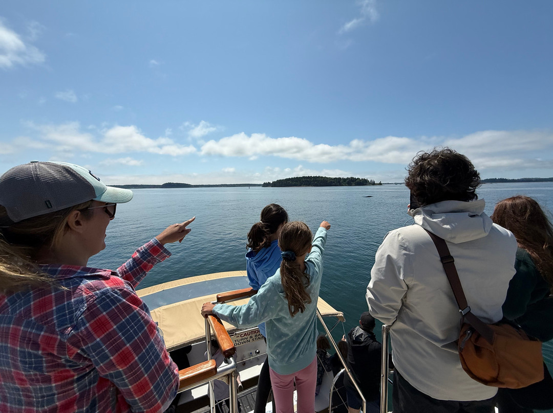 Cruisin' With The Whales-Saint Andrews必去景点