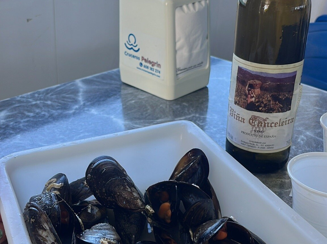 Cruceros Pelegrín-格罗韦必去景点