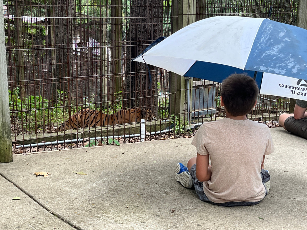 Crown Ridge Tiger Sanctuary Lodging主图
