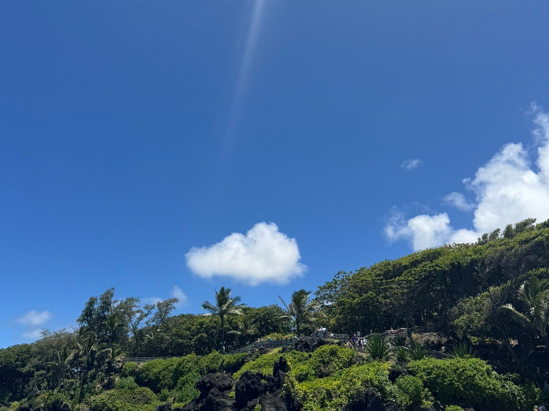 Honokalani Black Sand Beach-哈纳必去景点