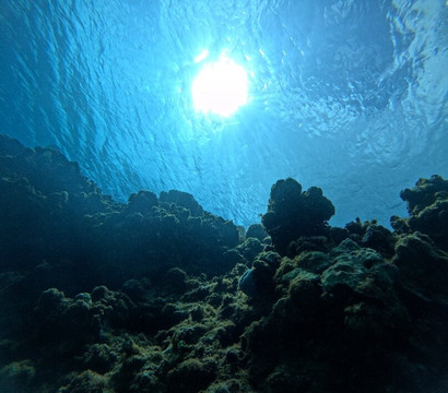 Off the Wall Divers-大开曼岛必去景点