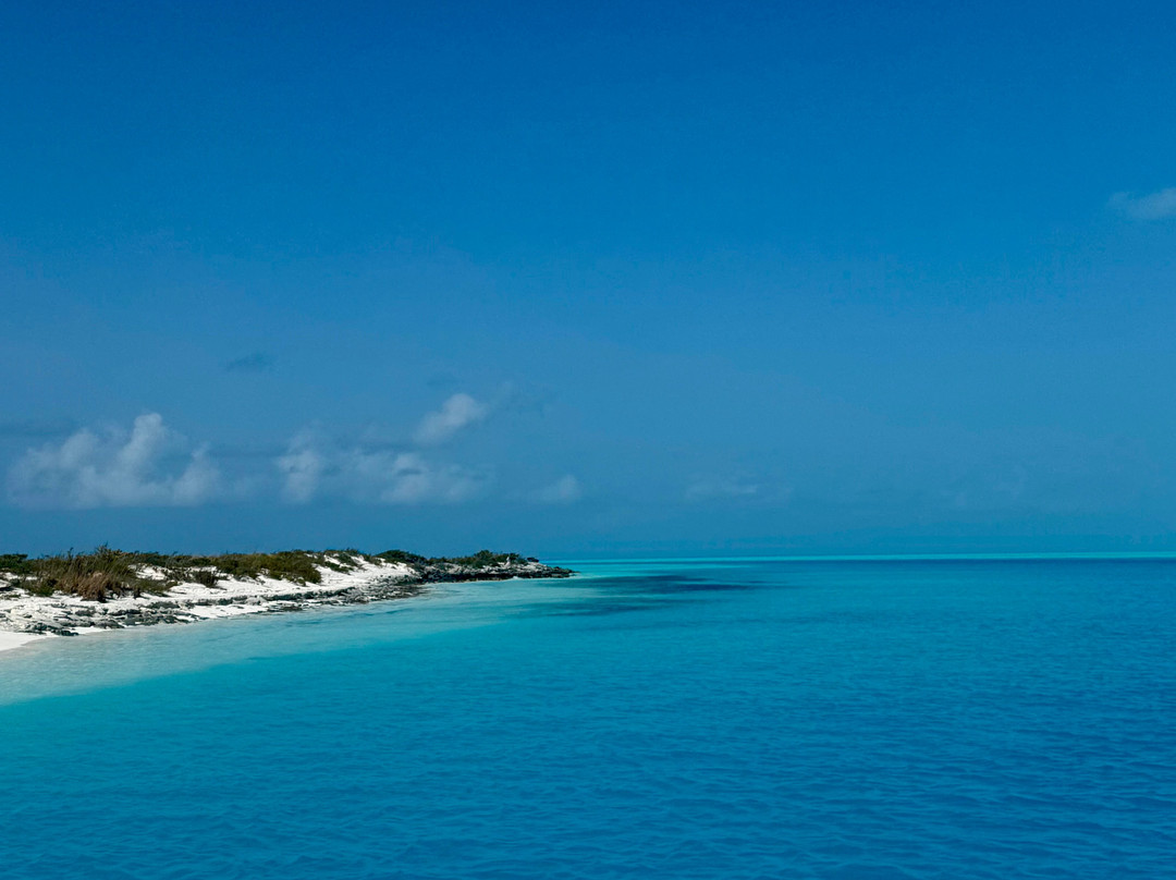 Yan Turnquest Fishing and Eco Tour Charter-Deadman's Cay必去景点