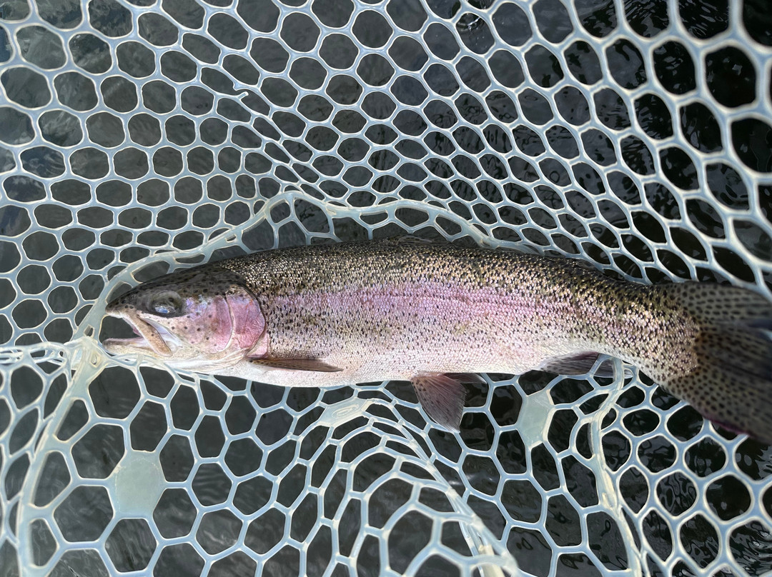 Colorado Angling Company-Wolcott必去景点