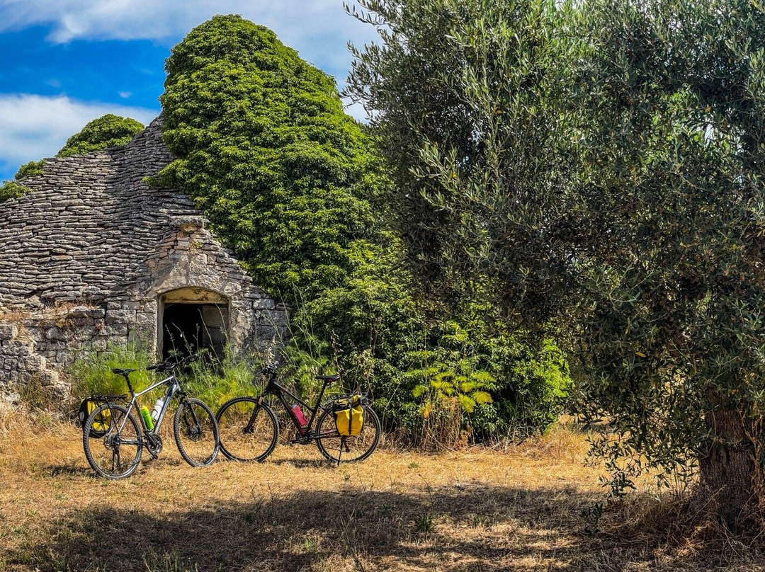 Apulia Bike Tours-San Vito dei Normanni必去景点
