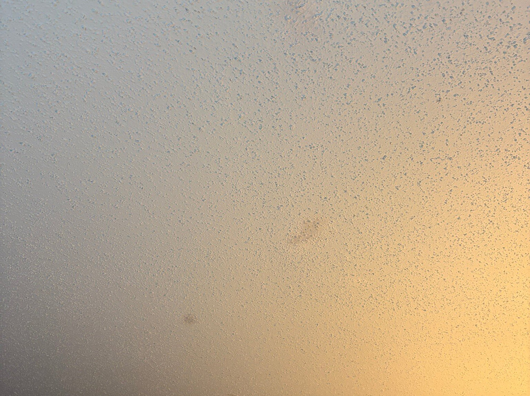 Courtyard by Marriott Alexandria Old Town/Southwest主图