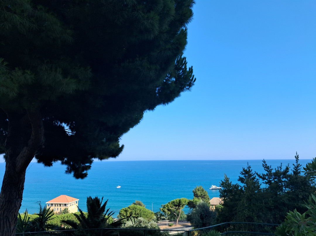 Agriturismo Un Mare di Fiori主图