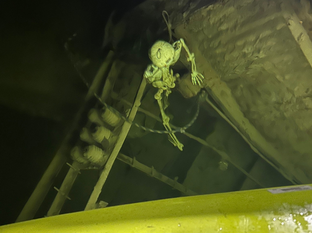 Crystal City Underground-Crystal City必去景点