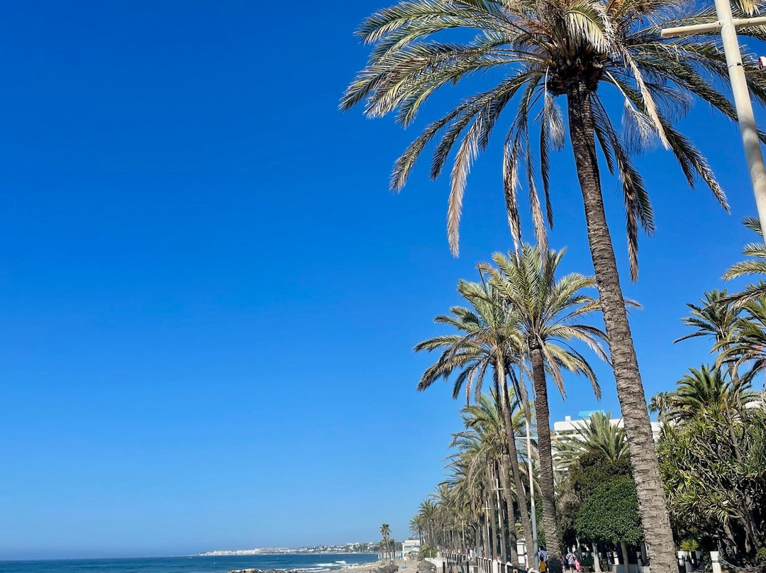 Playa de la Fontanilla-马贝拉必去景点