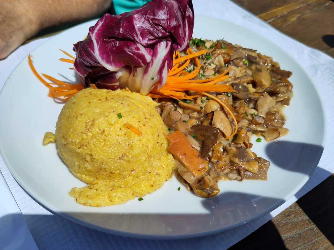 Auerleger Alm - Malga Ora