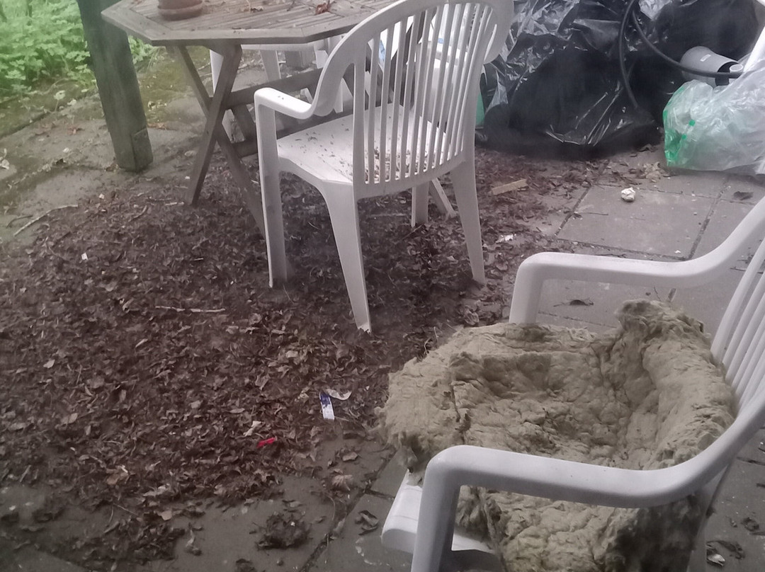 雷克雅未克和平中心酒店主图