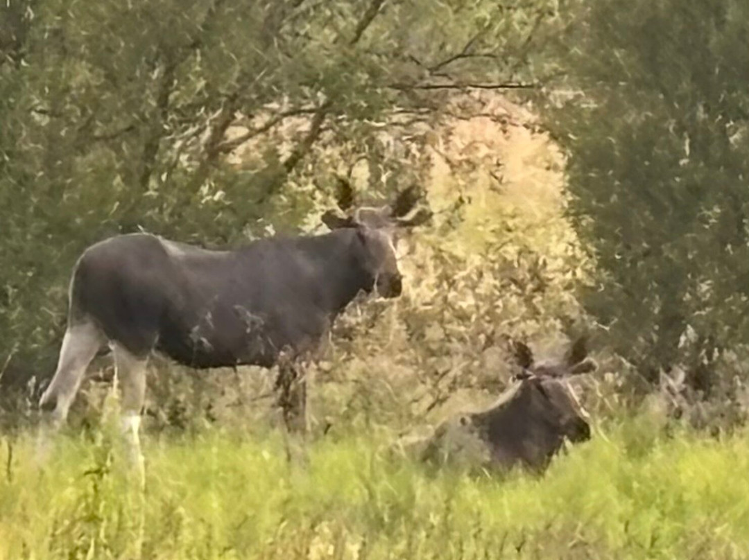 Vesterålen Tours-Sortland必去景点