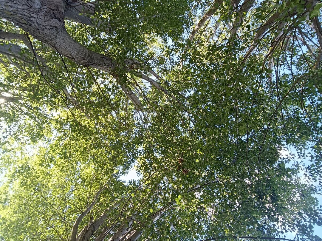Lago di Vico-Ronciglione必去景点