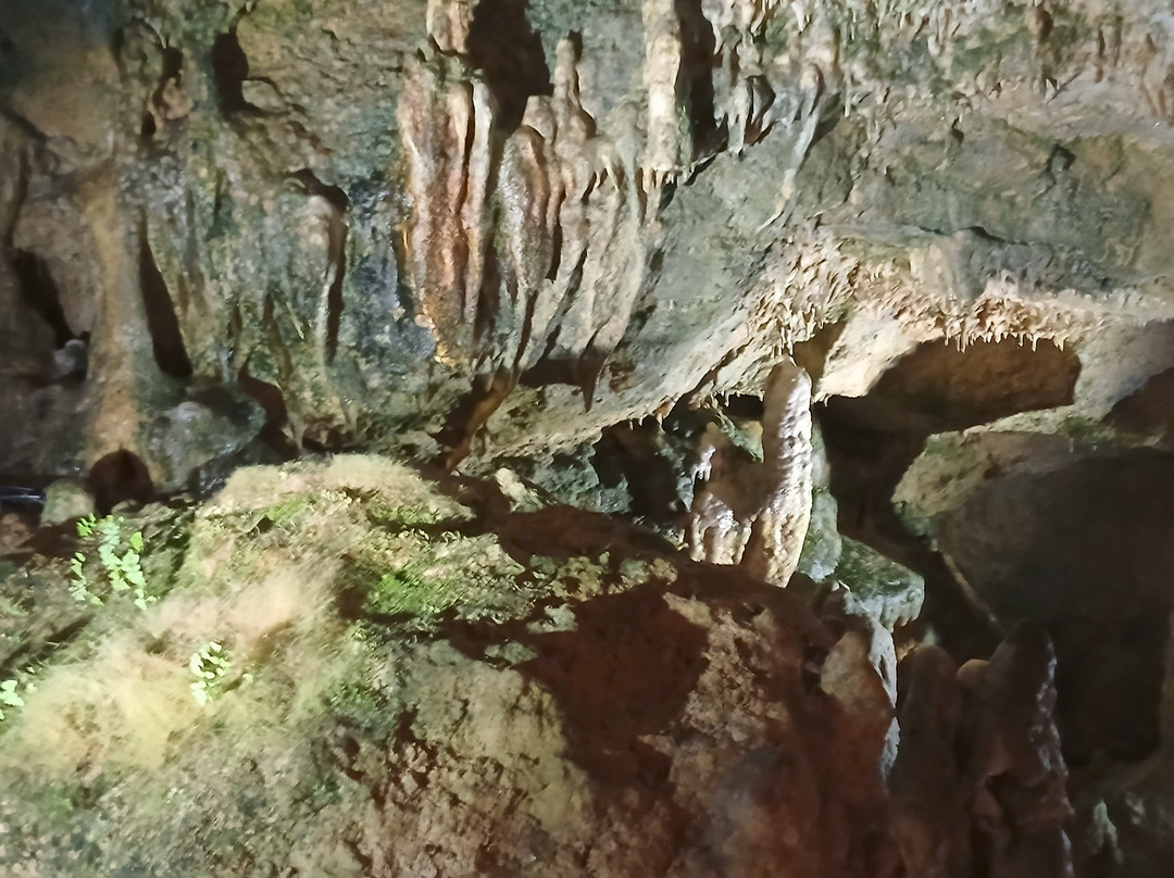 Nebelhöhle-Sonnenbuehl必去景点